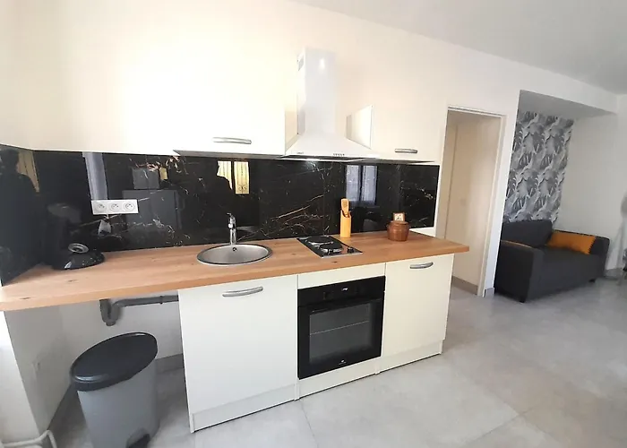 Elegant Appartement Vatan Centre